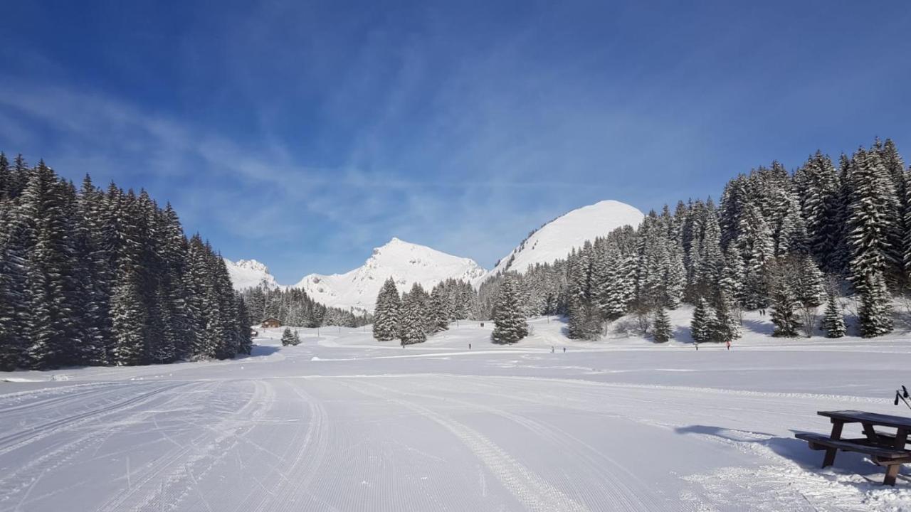 Studio Cabine Praz De Lys Taninges Exterior photo