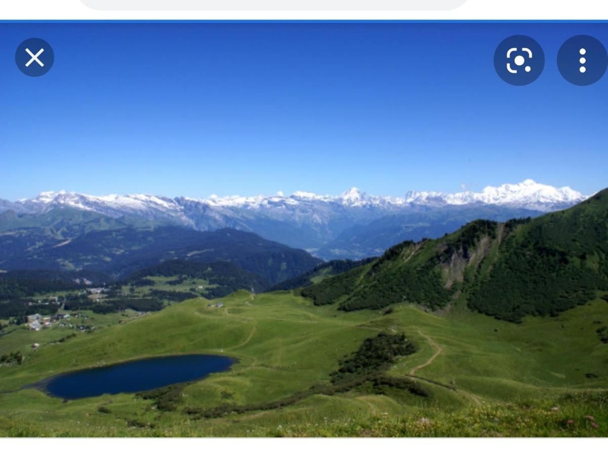Studio Cabine Praz De Lys Taninges Exterior photo